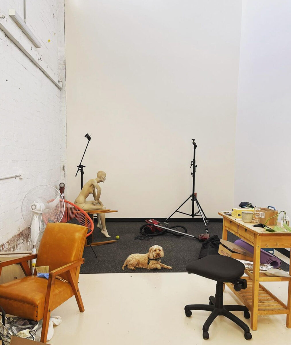 A photo of a studio with a dog.