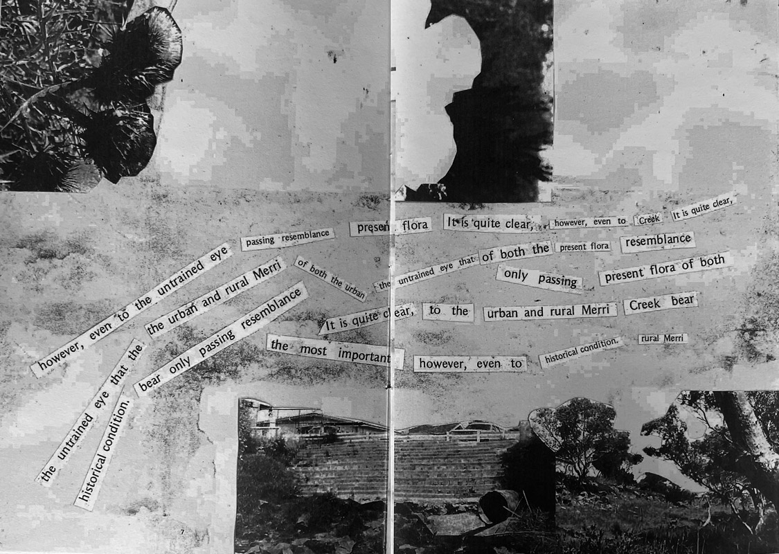 A collage of a poem and photos of the merri creek.