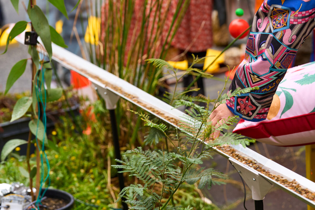Plants alongside a thin tray holding rocks and water, with someone's arm reaching towards it in a colourful sleeved garment.